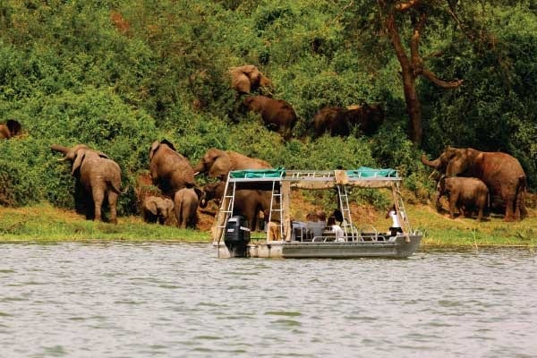 View of Wildlife from Boat